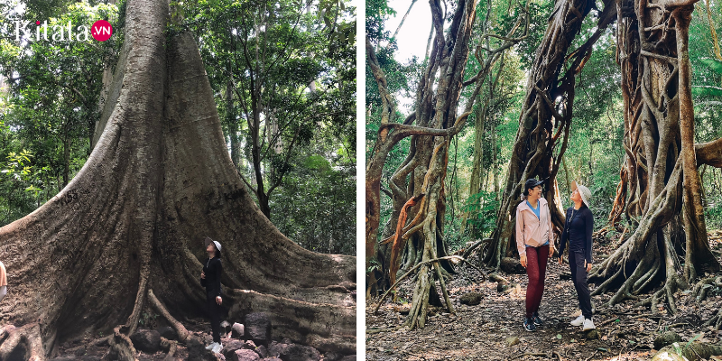 chọn thời gian yên tĩnh trong ngày